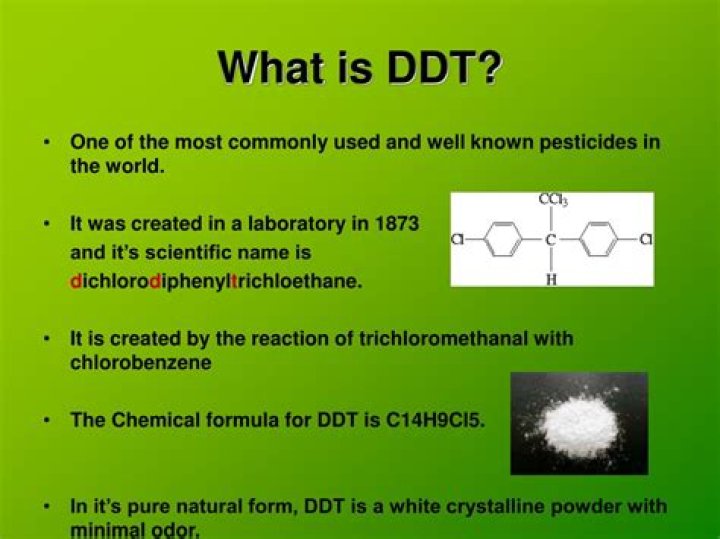 What is ddt pesticide?