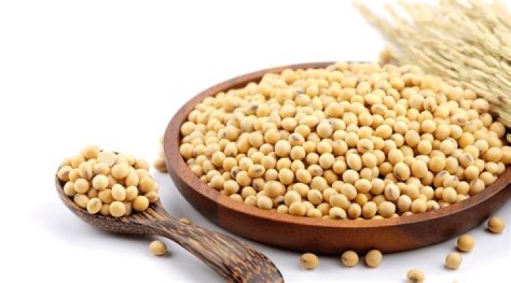 What is defatted soy flour?