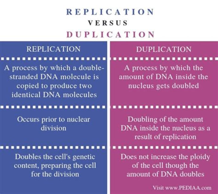 What is duplication in research?