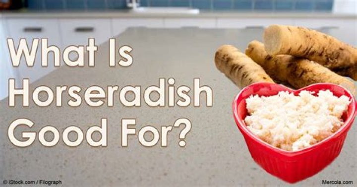 What is horseradish good for?