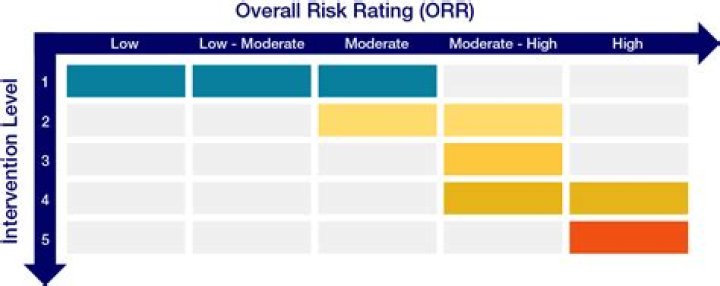 What is obligor risk rating?