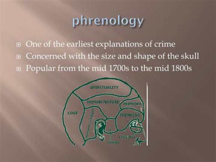 What is phrenology in criminology?