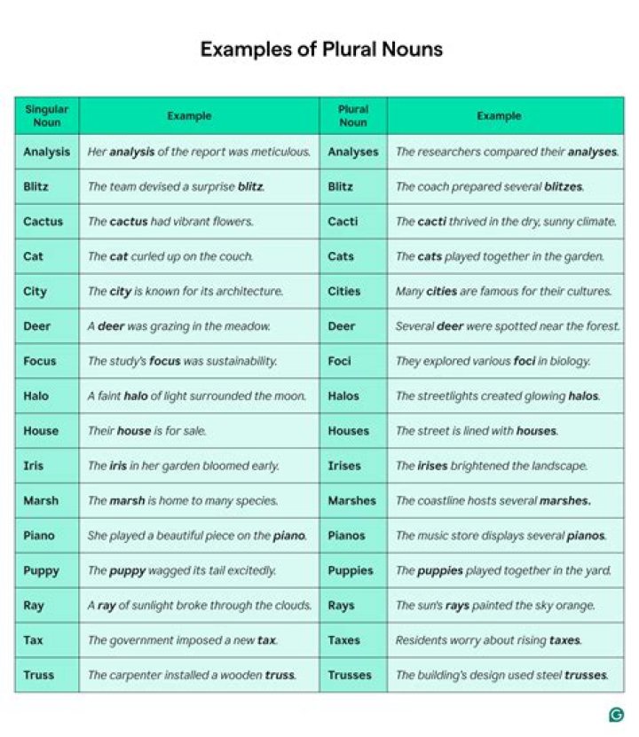 What is plural for eyases?