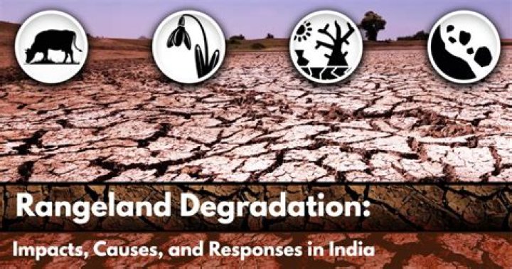 What is rangeland degradation?