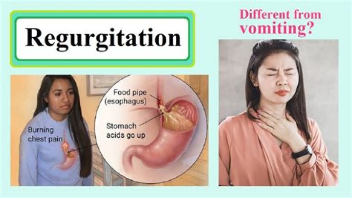 What is regurgitated food?