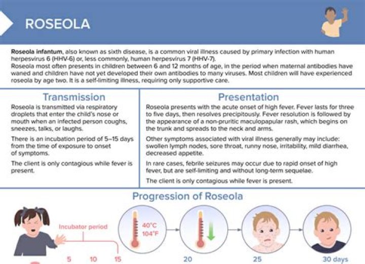 What is roseola infantum in medical terms?