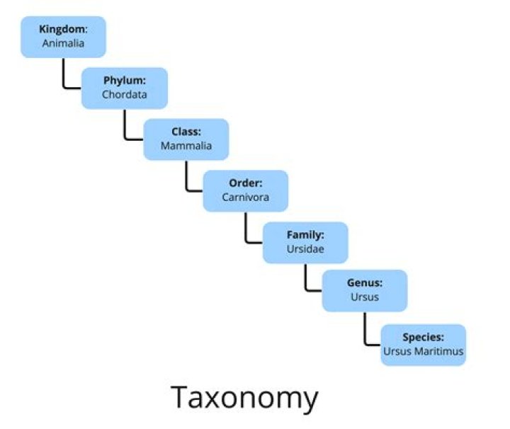 What is taxon used for?