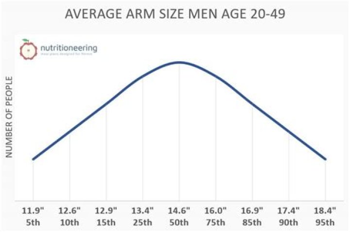 What is the average size of a man's manhood?