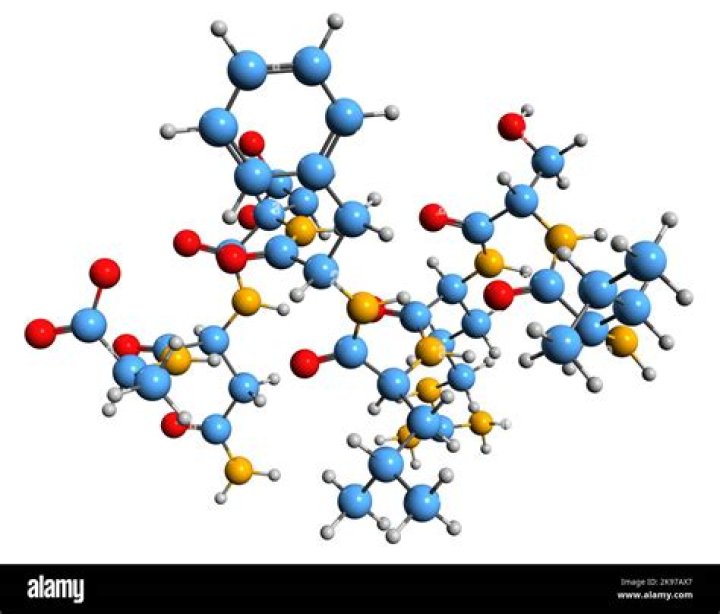 What is the function of somatotropic?