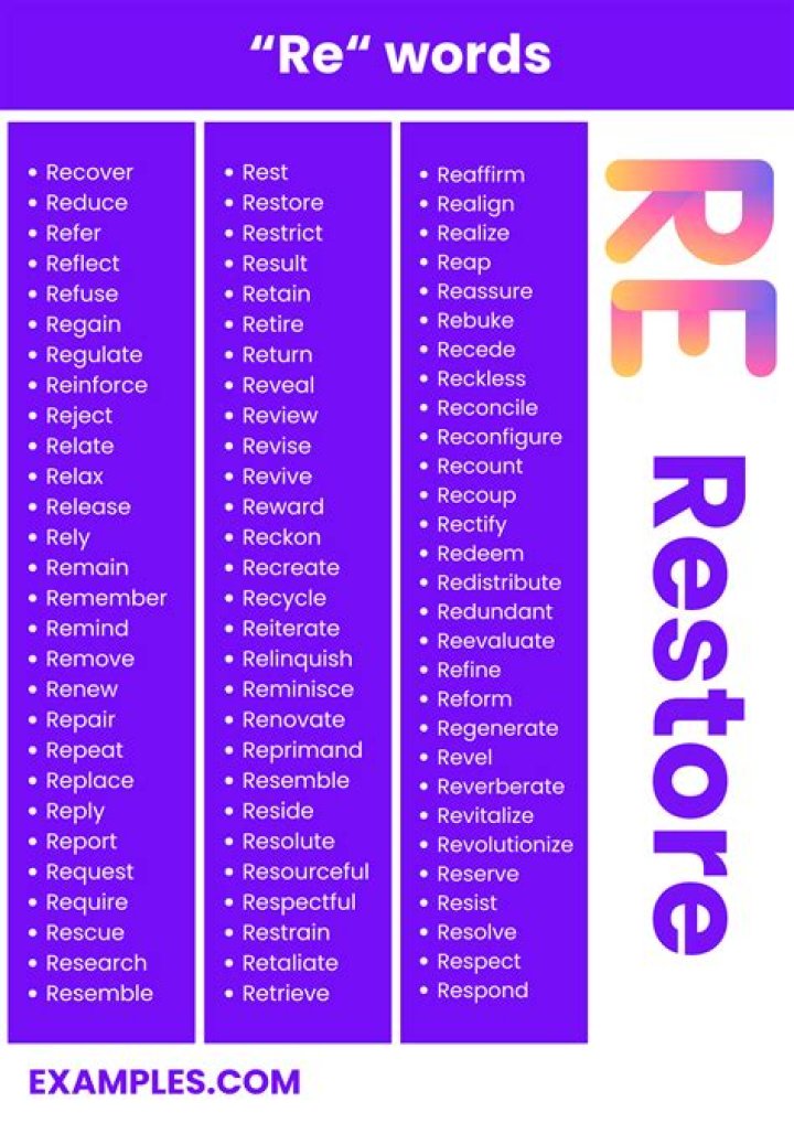 What is the meaning of the word re-execute?