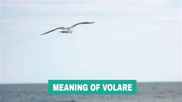 What is the meaning of volare?