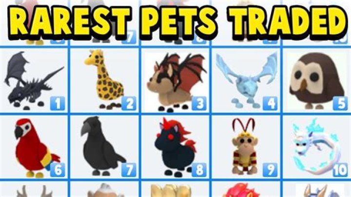 What is the rarest pet in adopt me?