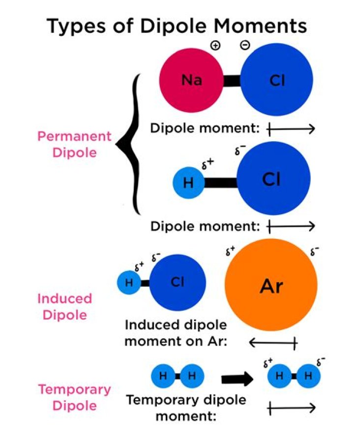 What molecules have permanent dipoles?