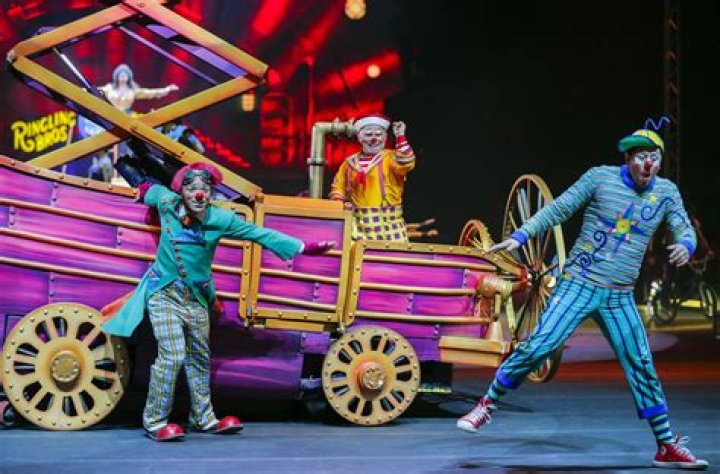 What roles are in a circus?