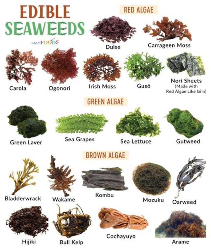 What seaweed is edible?