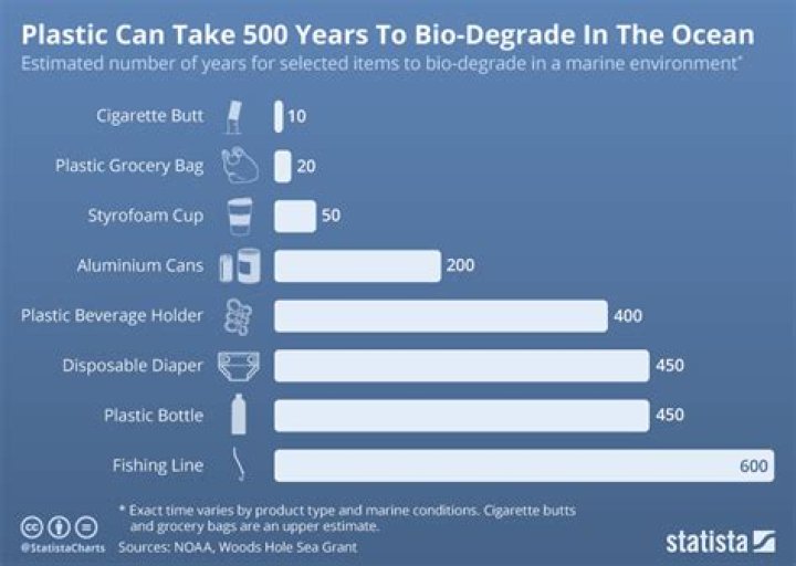 What takes the longest to biodegrade?