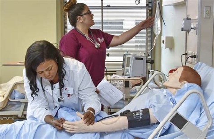 What visiting nurses do?