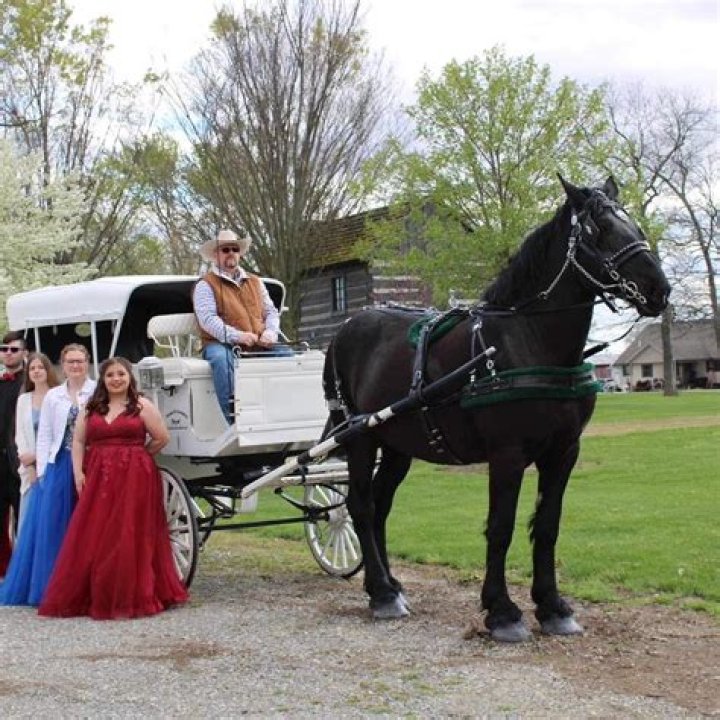 Whats a carriage service?