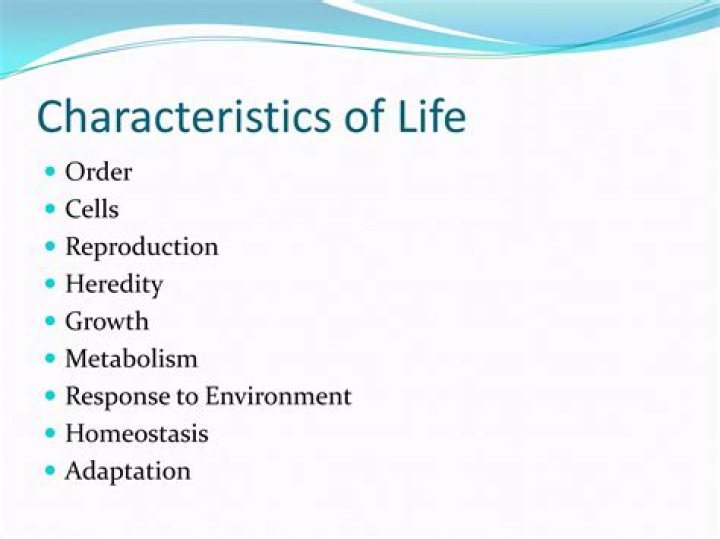 Whats a characteristic of life?