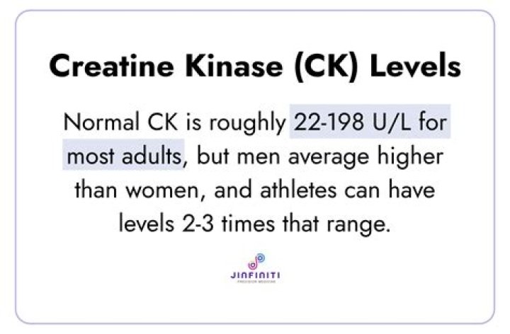 Whats a ck number?