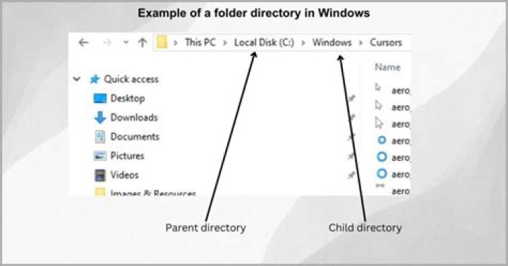 Whats a directory folder?