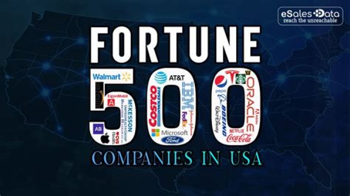 Whats a fortune 500 company?