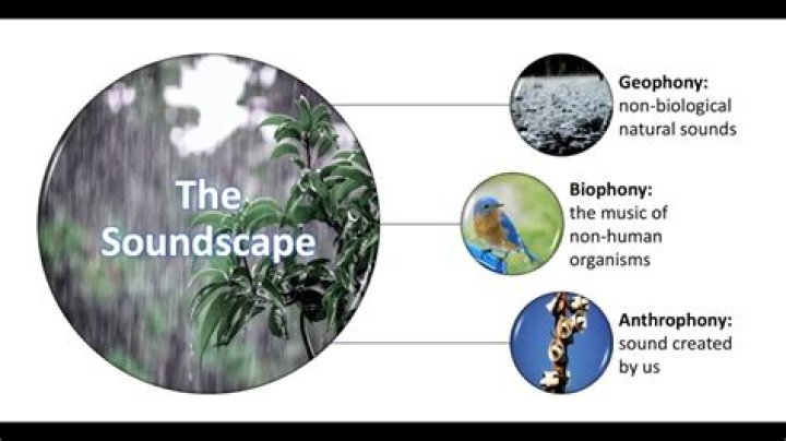 Whats a natural soundscape?