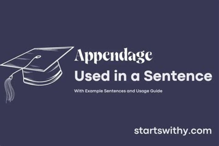 Whats a sentence for appendage?