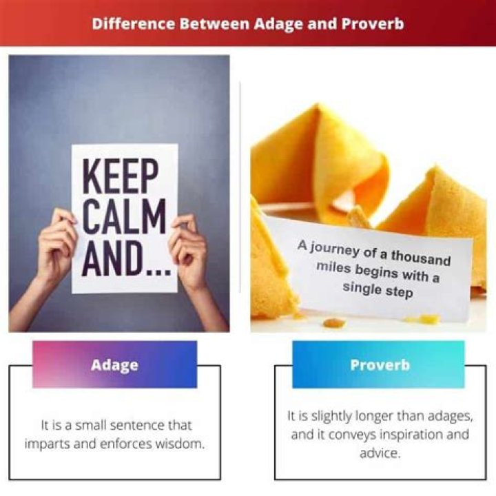 Whats an adage and proverb?