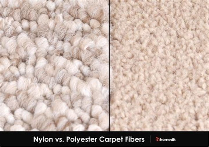 Whats better nylon or polyester carpet?