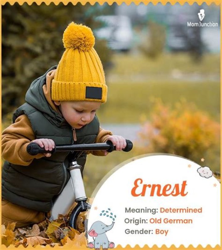 Whats does ernest mean?