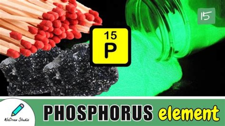 Whats does phosphor mean?