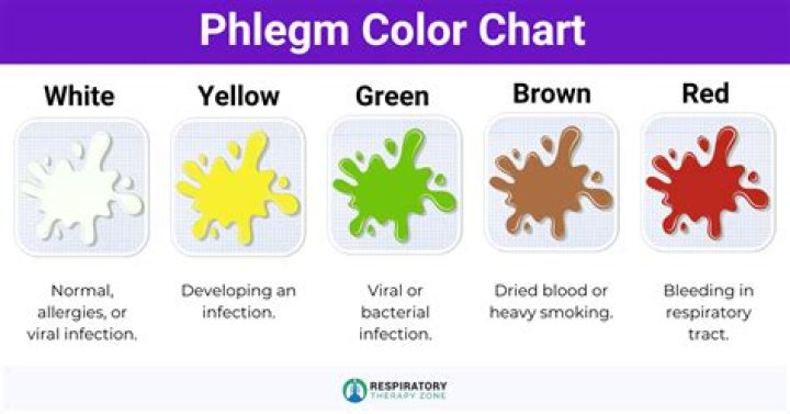Whats the definition of phlegm?