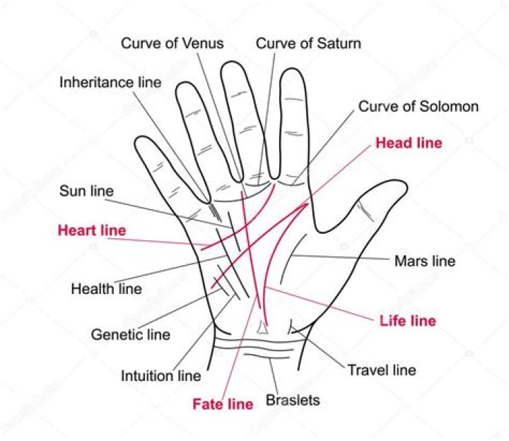 Whats the mean of handline?