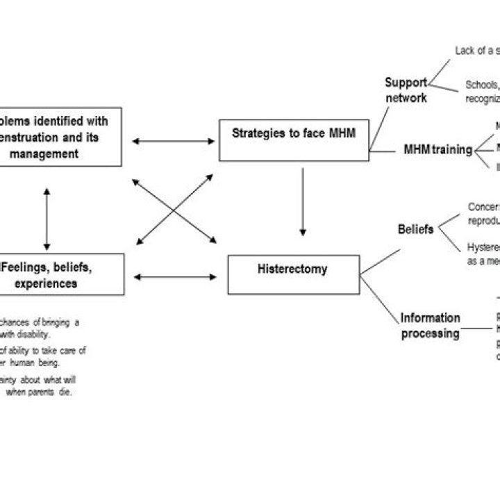 Whats the meaning of problematize?