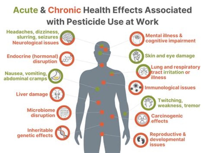 When a pesticide is sprayed on a population of insects?