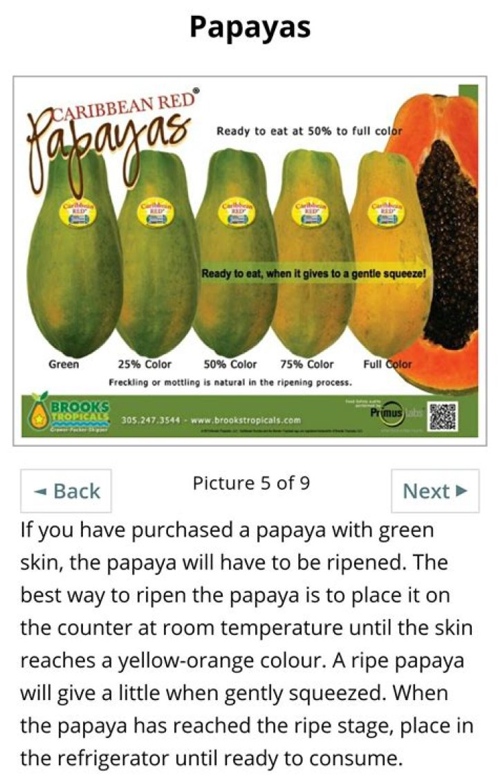 When are papayas ready?