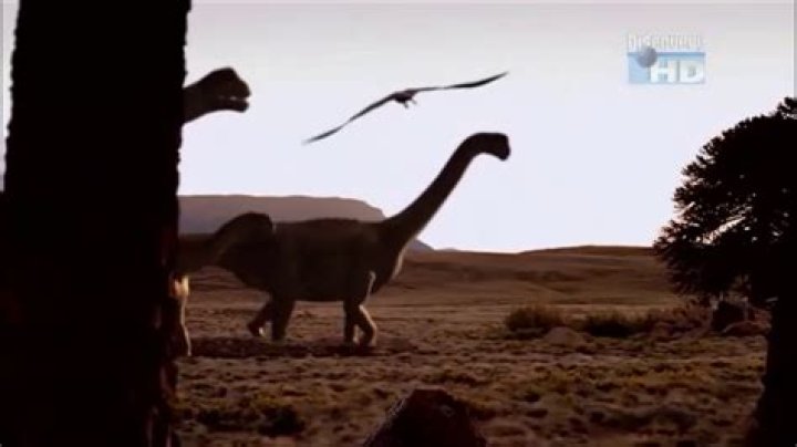 When dinosaurs roamed america camarasaurus?