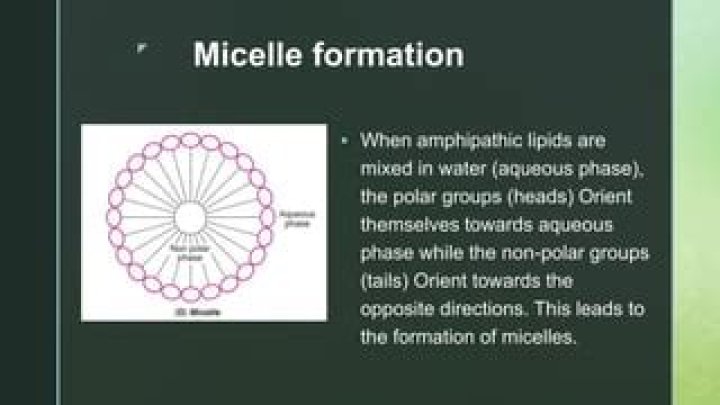 When do particles aggregate to form micelles?