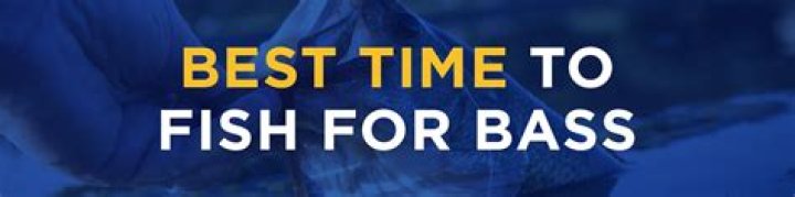 When is the best time to fish for bass?