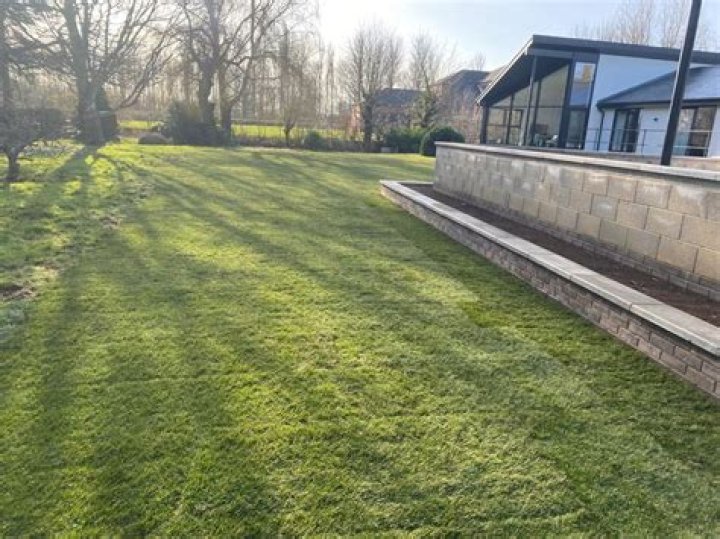 When should you cut a newly laid lawn?