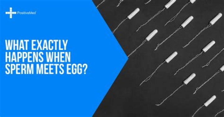 When sperm meets egg symptoms?