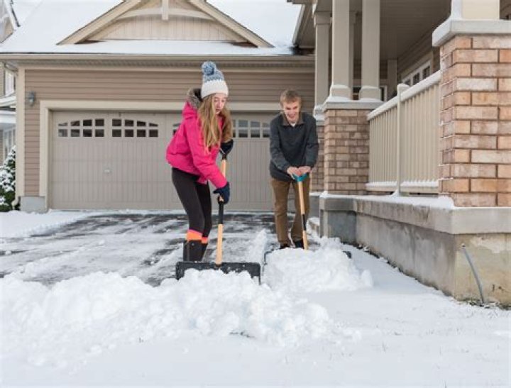When to trim snow in summer?
