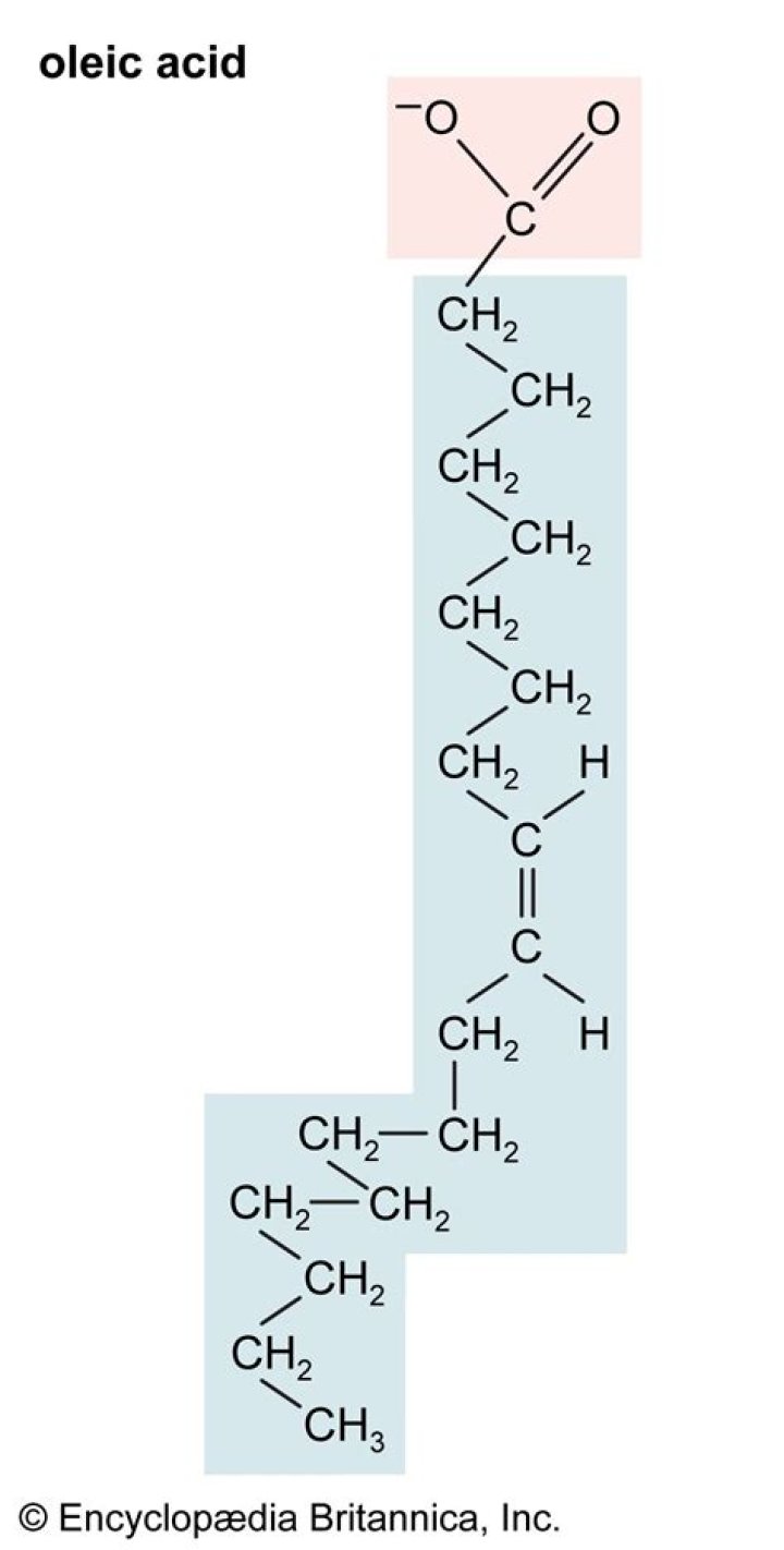 When to use oleic acid?