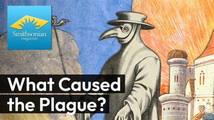 When was bubonic plague happened?
