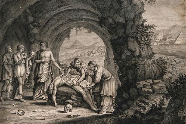 When was the first anatomists?