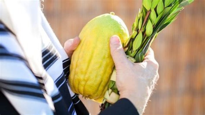Where are etrogs grow?