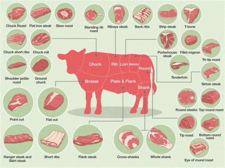 Where cuts of meat are from on a cow?