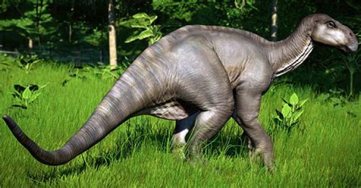 Where did iguanodon live?