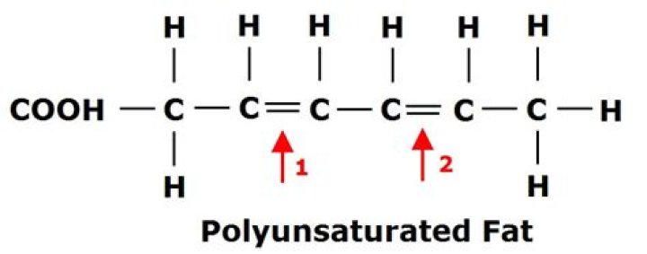 Where did polyunsaturated come from?